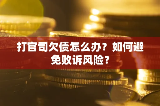 北京打官司欠债怎么办？如何避免败诉风险？