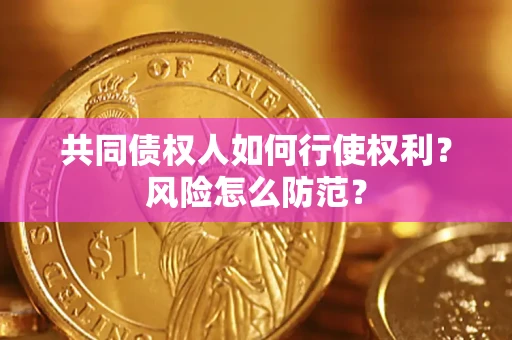 北京共同债权人如何行使权利？风险怎么防范？