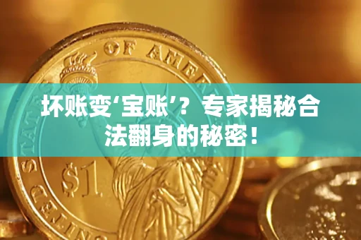 北京坏账变‘宝账’？专家揭秘合法翻身的秘密！