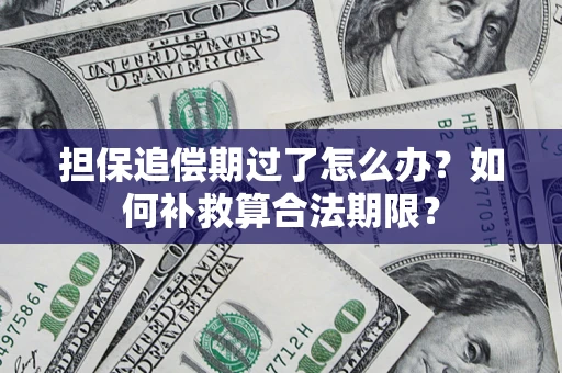 北京担保追偿期过了怎么办？如何补救算合法期限？