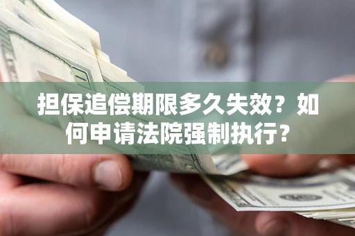 北京担保追偿期限多久失效？如何申请法院强制执行？
